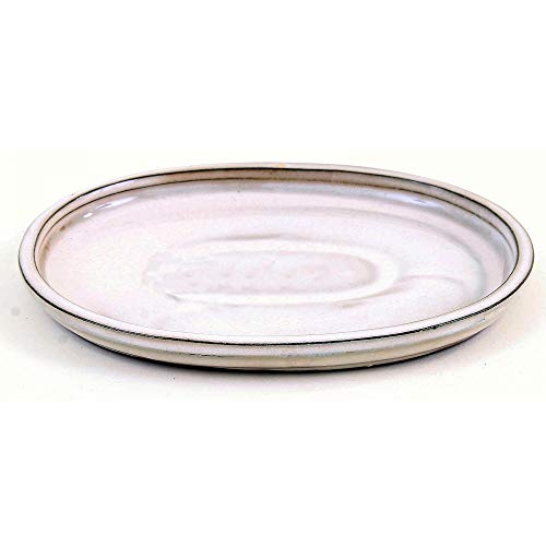 Bonsai - Untersetzer oval 21 x 17 cm, Creme 54330 von Bonsai-Shopping