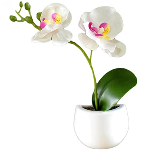 Kühlschrankmagnete Topf Künstliche Grünpflanzen Bonsai Set Gefälschte Blume Vase Souvenir Blackboard Magnetische Aufkleber von Bontannd