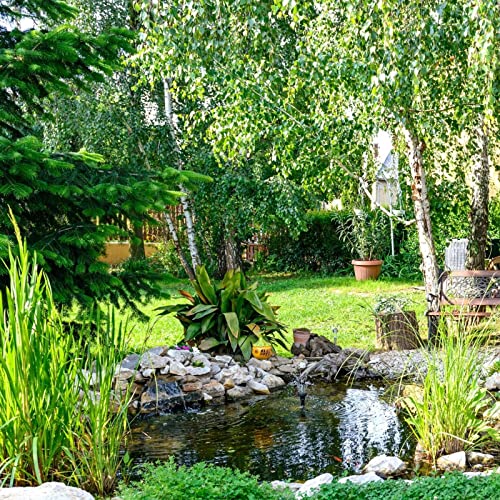 BooGardi PVC Teichfolie schwarz · Viele Größen in 0,6mm / 0,8mm / 1,0mm · 3m x 6m x 0,6mm · UV- Frost- und Witterungsbeständig für Gartenteich (wurzelfest) von BooGardi