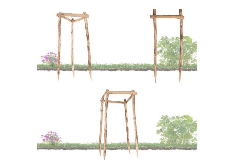 BooGardi Rankhilfe Baum Wuchshilfe Bausatz, Höhe 120cm 2 Pfahl-Variante, Baumstütze Pflanzstütze Baumpfähle Sturmschutz von BooGardi