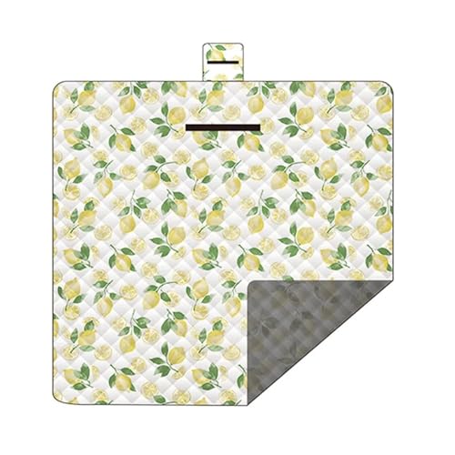 BooeDareno 200 x 200 cm Picknick-Matte, wasserdicht, faltbar, Campingdecke für Picknicks, Sand, Strand, Camping, Outdoor-Aktivitäten (Zitrone) von BooeDareno