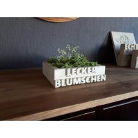 Blumentopf "Lecker Blümschen" Als Lustige Geschenkidee von Borkenkaefer