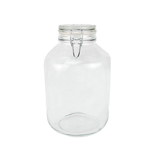 Bormioli 2er Set Rocco 4000ml Drahtbügelglas FIDO, Glas, Transparent, 4000 Bormioli 2er Set Rocco 4000ml Drahtbügelglas FIDO, Glas, Transparent, 4000 von Bormioli