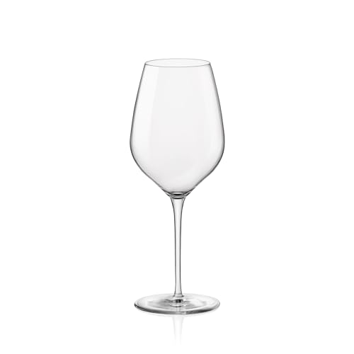 Bormioli Rocco 5174643 tresensi 6 Sektflöten aus Glas, Medium, 43 cl von Bormioli Rocco