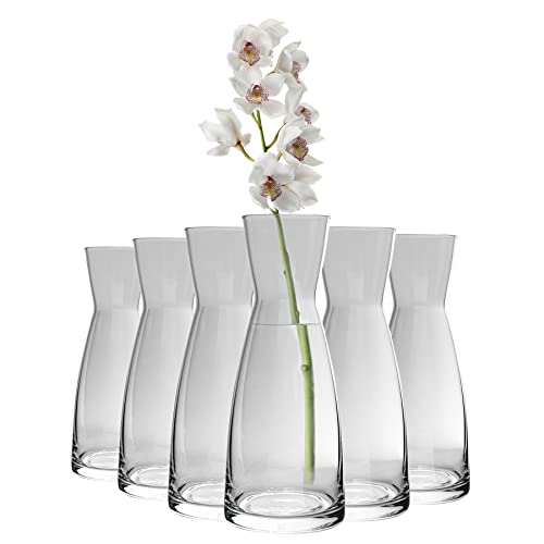 Bormioli Rocco Ypsilonglas Carafes - 285ml - Pack Von 6 von Bormioli Rocco
