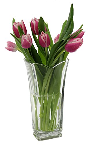 Italienische Glas, mit "vinciana 'Flower Vase. von Bormioli Rocco