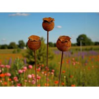 3Er Set Mohn Edelrost Rost Deko Rostige Gartendeko Blüten Blumen Gartenstecker Gartendekoration Garten Rostdeko 3Er Set Mohn Edelrost Rost Deko Rostige Gartendeko Blüten Blumen Gartenstecker Gartendekoration Garten Rostdeko von Bornhoeft