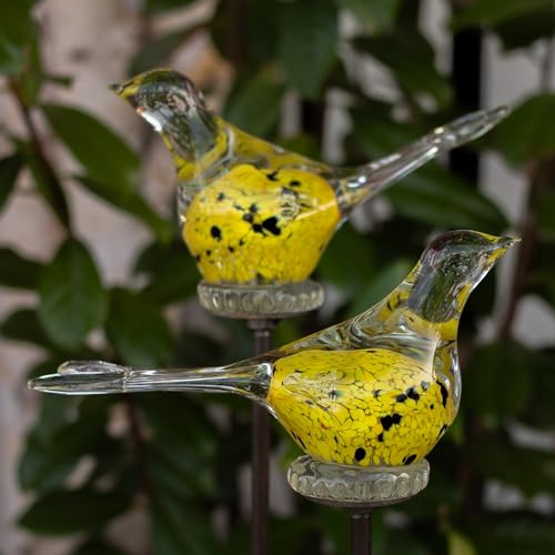 Bornhöft 2er Set Gartenstecker Glasvogel Deko Beetstecker Handarbeit Skulptur Vogel Gelb Schwarz Bornhöft 2er Set Gartenstecker Glasvogel Deko Beetstecker Handarbeit Skulptur Vogel Gelb Schwarz von Bornhöft