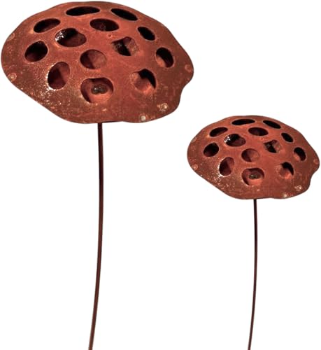 Bornhöft 2er Set Gartenstecker Lotus Fruchtstände Lotusblüte Metall Rost Gartendeko Edelrost Rankstab Beetstecker Topfstecker Naturrost von Bornhöft
