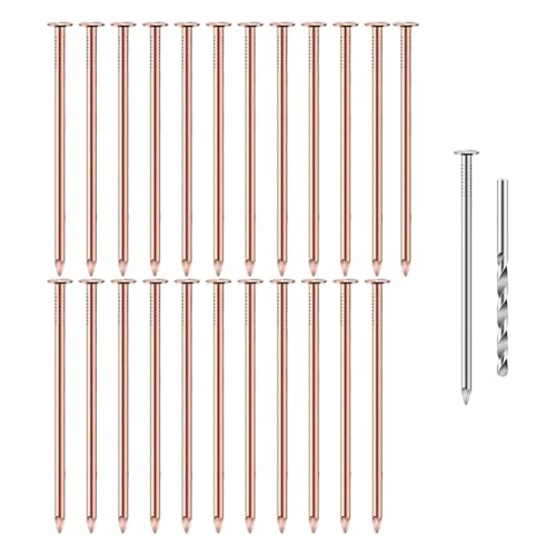 Bortivier 25 Stück Kupfernägel, Baumstumpfkiller, Spikes Zur Baumstumpfentfernung, Hardware-Nägel zum Entfernen Von Baumstümpfen Bortivier 25 Stück Kupfernägel, Baumstumpfkiller, Spikes Zur Baumstumpfentfernung, Hardware-Nägel zum Entfernen Von Baumstümpfen von Bortivier