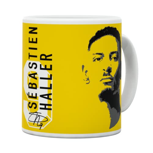 Borussia Dortmund BVB Tasse Spieler Haller Fanartikel von Borussia Dortmund