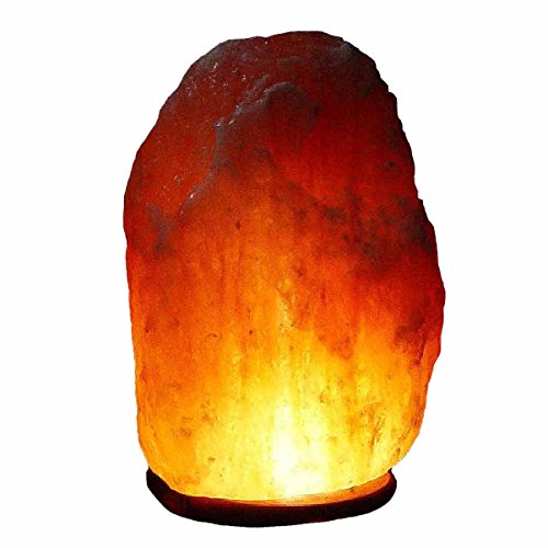 Bosalla Salz Lampe von 2 kg bis 26 kg frei wählbar Kristall Lampen Salt Range Pakistan mit Spezial Leuchtmittel und Kabel in 250 cm WEIß (4-6 kg) von BOSALLA