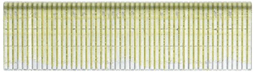 Bosch Professional 3000x Schmalrückenklammer Typ 55 Geharzt (Paneelen, Holzleiste, 6 x 1,08 x 16 mm, Zubehör Tacker) von Bosch