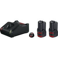 Bosch Professional GAL 12V-40 + 2x GBA 12V 2.0Ah 1600A019R8 Werkzeug-Akku und Ladegerät 12V 2Ah Li- von Bosch Professional