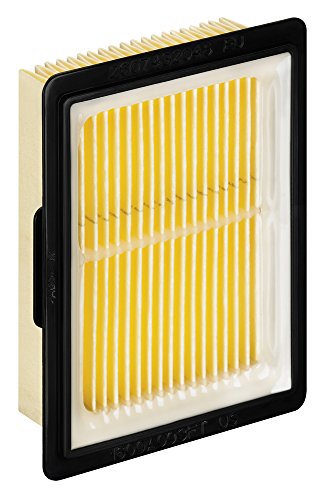 Bosch Accessories Professional 2607432046 Filtre à plis Faltenfilter für GAS 10,8V-LI, Noir, Jaune von Bosch Accessories