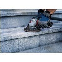 Bosch Schleifblatt Papier F355, ungelocht, Klett, 125 mm Bosch Schleifblatt Papier F355, ungelocht, Klett, 125 mm von Bosch