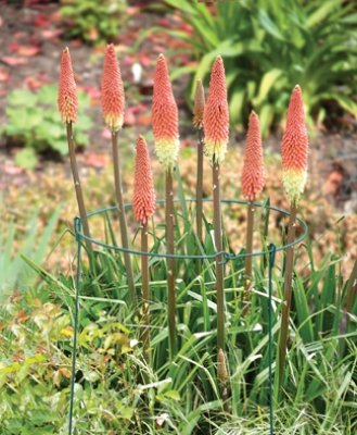 Bosmere E665 23 cm Durchmesser 33 cm Beine klein Blume Rundumverstärkung von Tildenet Gardenware