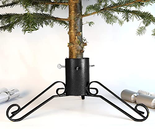 Bosmere G462 Traditionellen Weihnachtsbaumständer 5 Zoll, schwarz von Bosmere