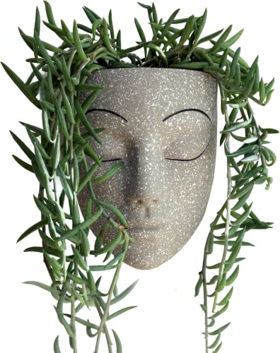 Bossa Linda Head Wall Planter | Einzigartiger Gesichts-Pflanztopf für Innenwand | Perfekt als Sukkulenten-Übertopf oder Kaktus-Pflanztopf – Tranquilo-Design, Hellgrau von Bossa Linda