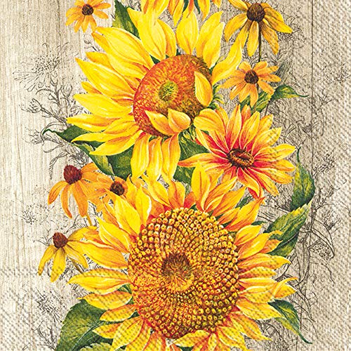 Boston International C827039 IHR 20 Stück 3-lagig Cocktail-Papierservietten für Getränke, Papier, Le Tournesol hellbraun von Boston International