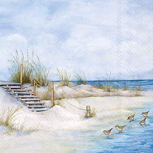 Boston International L849700 Lunch-Servietten, Papier, Seaside Feelings, 6.5 x 6.5-Inches von Boston International