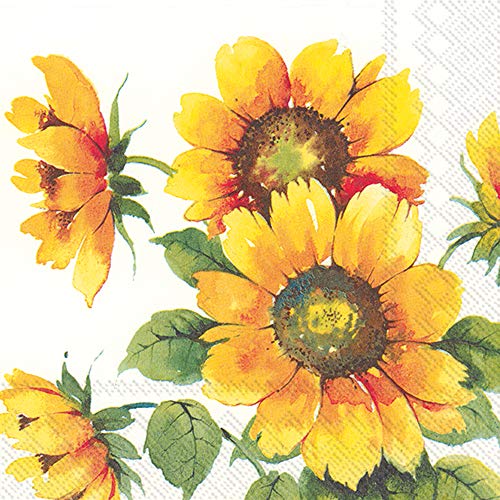 Boston International L863100 IHR 20-Count Luncheon 3-Ply Papierservietten, Papier, Bunte Sonnenblumen Boston International L863100 IHR 20-Count Luncheon 3-Ply Papierservietten, Papier, Bunte Sonnenblumen von Boston International