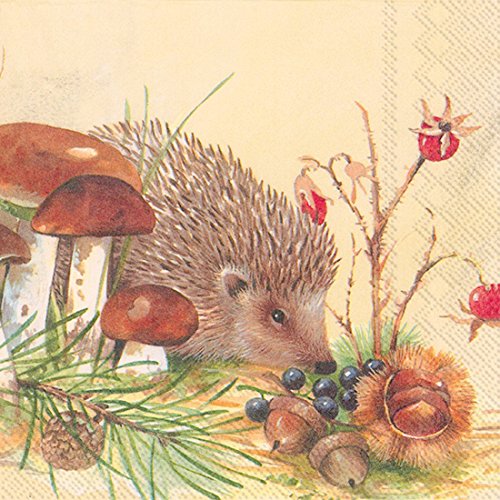Ideal Home Range 20 Zählen Nosy Little Igel Papier Cocktail Servietten, Multicolor Ideal Home Range 20 Zählen Nosy Little Igel Papier Cocktail Servietten, Multicolor von Boston International