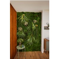 Botanic-Haus Künstliche Zimmerpflanze "Moosmatte" von Botanic-Haus