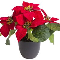 Botanic-Haus Kunstblume "Poinsettie mit 4 Blüten" von Botanic-Haus