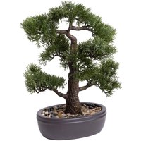 Botanic-Haus Kunstbonsai "Ceder Bonsai" von Botanic-Haus