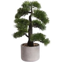 Botanic-Haus Kunstbonsai "Ceder Bonsai" von Botanic-Haus