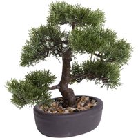 Botanic-Haus Kunstbonsai "Ceder Bonsai" von Botanic-Haus