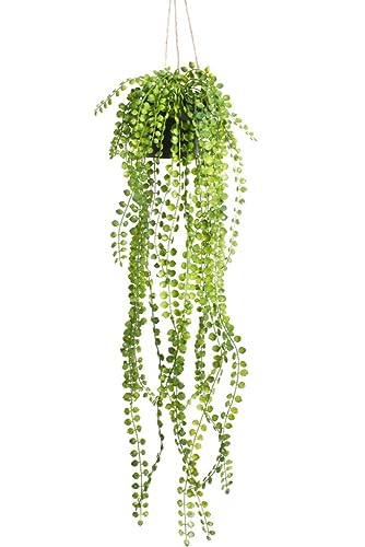 Botanic-Haus künstliche Ficus Pumila Pflanze Hängeampel im schwarzen Kunststofftopf Botanic-Haus künstliche Ficus Pumila Pflanze Hängeampel im schwarzen Kunststofftopf von Botanic-Haus
