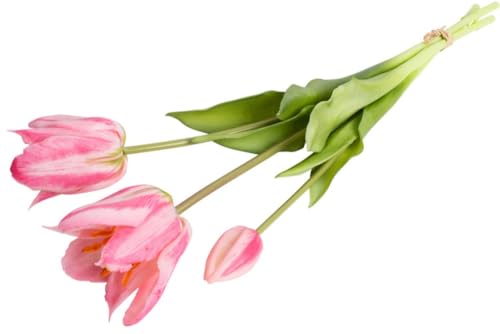 Botanic-Haus künstliche Tulpe/künstliches Tulpenbündel mit 2 großen offenen Tulpen und Einer Tulpenknospe Farbe: pink real-Touch von Botanic-Haus