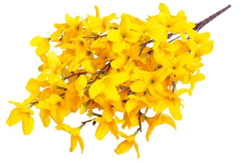 Botanic-Haus künstlicher Forsythienbusch (künstliche Forsythie) mit 10 Stielen, Farbe: gelb von Botanic-Haus