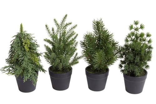 Botanic-Haus künstliches Mini- Tannenbaum Sortiment (4 Stück Sortiert) im schwarzen Kunststofftopf von Botanic-Haus