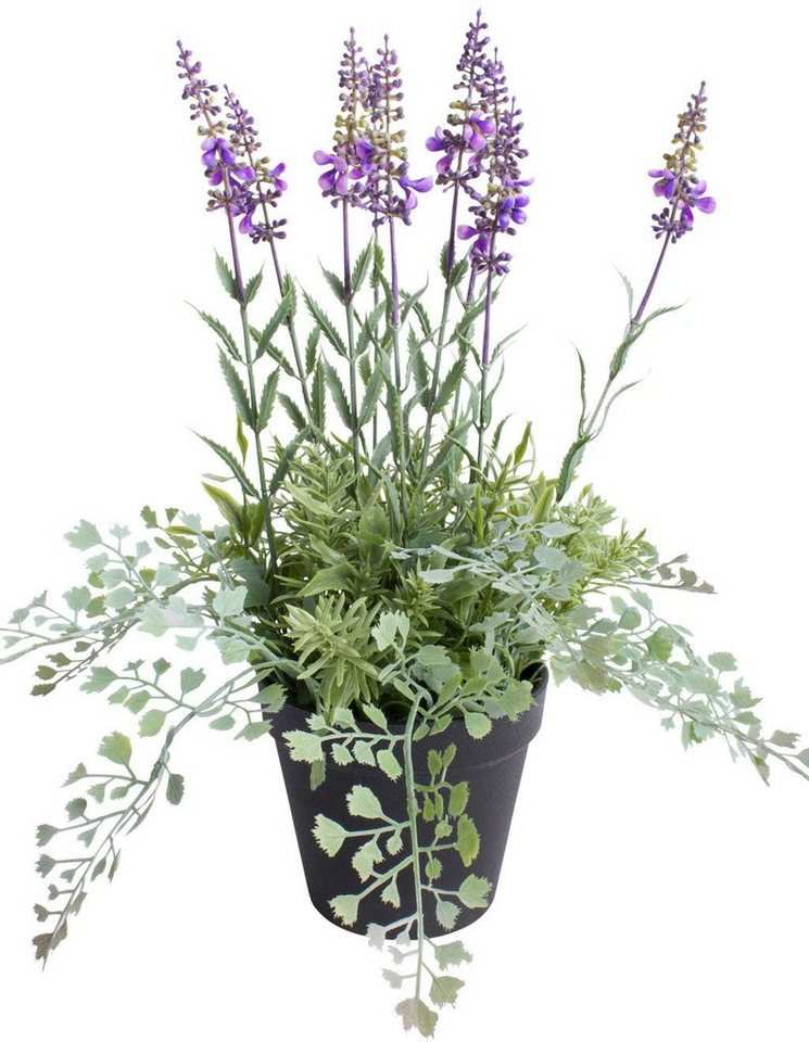 Künstliche Zimmerpflanze Lavendel - Kräutertopf, Botanic-Haus, Höhe 37 cm von Botanic-Haus
