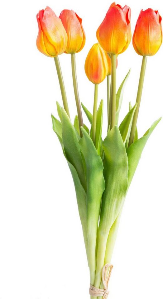 Kunstblume Tulpenbündel Tulpe, Botanic-Haus, Höhe 47 cm von Botanic-Haus