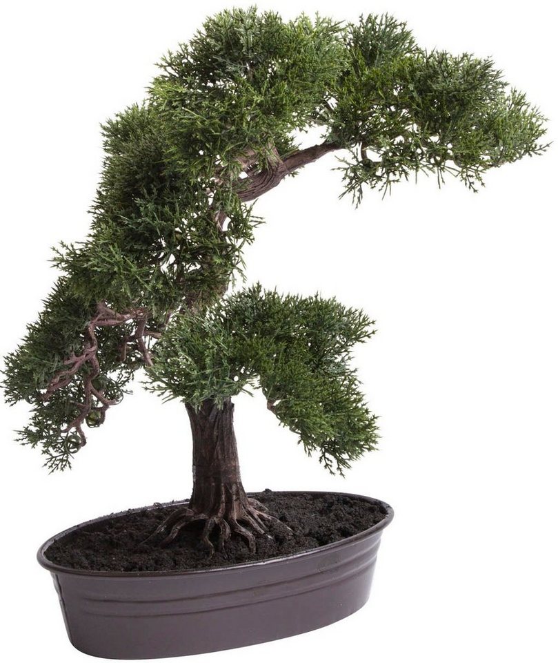 Kunstbonsai Cedern Bonsai Ceder, Botanic-Haus, Höhe 42 cm von Botanic-Haus