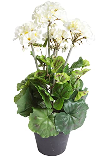 künstliche, hohe Geranie (Geranienbusch) mit 5 Blütenköpfen im schwarzen Kunststofftopf (Creme-weiß) von Botanic-Haus