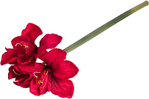 künstliche Amaryllis (weihnachtliche Dekoration) mit 3 Blüten und 1 Knospe (rot) von Botanic-Haus