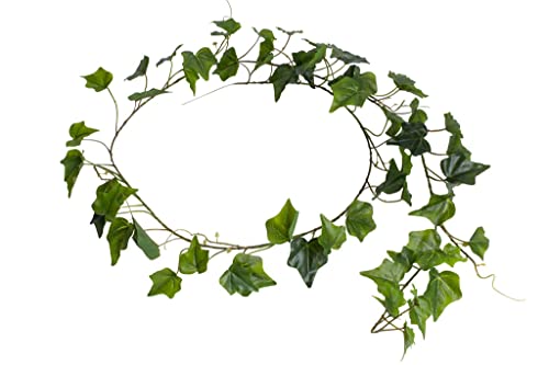 künstliche Efeu Girlande, Kunstpflanze Englisch Efeu ca. 180 cm lang, Farbe: grün von Botanic-Haus