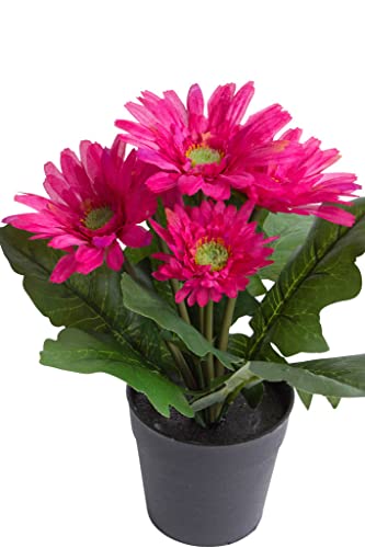 Botanic-Haus künstliche Gerbera (Gerberabusch) mit 5 Stielen im schwarzen Kunststofftopf (Beauty) von Botanic-Haus