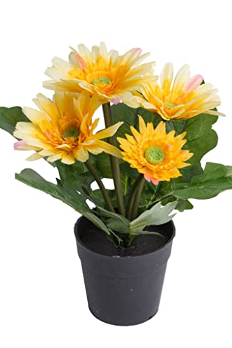 Botanic-Haus künstliche Gerbera (Gerberabusch) mit 5 Stielen im schwarzen Kunststofftopf (gelb) von Botanic-Haus