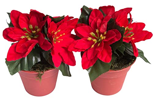 künstliche Mini Poinsettie (Weihnachtsstern) mit 3 Blüten im braunen Kunststofftopf Farbe: rot (2 Stück) von Botanic-Haus