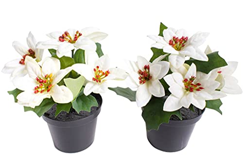 künstliche Mini-Poinsettie (Weihnachtsstern) mit 4 Blüten im schwarzen Kunststofftopf (Creme-weiß) von Botanic-Haus