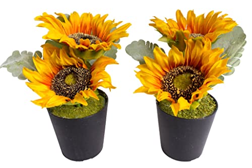 künstliche Sonnenblume mit 2 Blüten im schwarzen Kunststofftopf (2 Stück) von Botanic-Haus