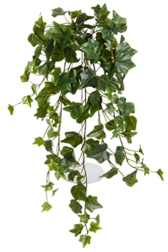 künstlicher Efeu Hängebusch, Kunstpflanze Englisch Efeu ca. 65 cm lang, Farbe: grün von Botanic-Haus
