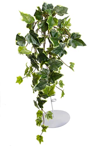 künstlicher Efeu Hängebusch, Kunstpflanze Holland Efeu ca. 50 cm lang, Farbe: grün-Creme von Botanic-Haus