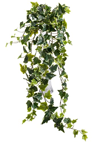 künstlicher Efeu Hängebusch, Kunstpflanze Holland Efeu ca. 86 cm lang, Farbe: grün-Creme von Botanic-Haus